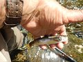 -Kettle Valley-118-